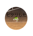 動物オールスターズ（個別スタンプ：7）
