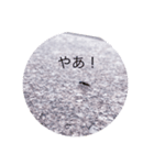 動物オールスターズ（個別スタンプ：8）