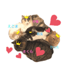 mocchiis_family（個別スタンプ：30）