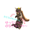 mocchiis_family（個別スタンプ：32）