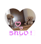 ラム＆くうの基本挨拶2（個別スタンプ：13）