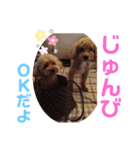 ラム＆くうの基本挨拶2（個別スタンプ：15）