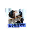 いもさとのスタンプ（個別スタンプ：6）