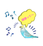 セキセイインコのニイコちゃんパート3（個別スタンプ：3）