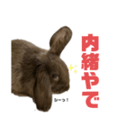 関西弁うさぎ〜シバの日常〜（個別スタンプ：6）