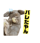 関西弁うさぎ〜シバの日常〜（個別スタンプ：32）