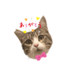 下鶴虎次郎さんスタンプ1（個別スタンプ：1）