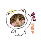 下鶴虎次郎さんスタンプ1（個別スタンプ：3）