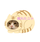 下鶴虎次郎さんスタンプ1（個別スタンプ：4）