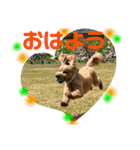 ぽっきー＆ころん 日常編（個別スタンプ：1）