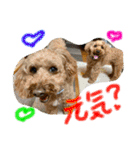 ぽっきー＆ころん 日常編（個別スタンプ：5）