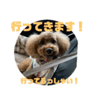 ぽっきー＆ころん 日常編（個別スタンプ：7）