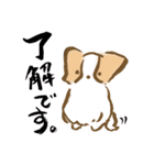 ゆるいパピヨン犬（個別スタンプ：40）