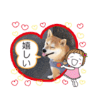 元豆柴 琥太郎くん（個別スタンプ：30）