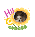 ピーモースタンプ（個別スタンプ：1）