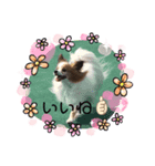 ピーモースタンプ（個別スタンプ：3）