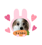 ピーモースタンプ（個別スタンプ：6）