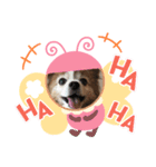 ピーモースタンプ（個別スタンプ：7）