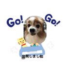 ピーモースタンプ（個別スタンプ：8）