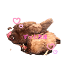 ぷちこっこのあんこときなこ（個別スタンプ：3）