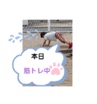 愛サツ（個別スタンプ：11）