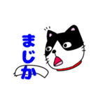 雑種スタンプなり（個別スタンプ：5）