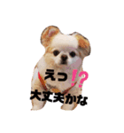 くれああんどゆず（個別スタンプ：3）