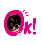 くれああんどゆず（個別スタンプ：5）