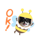 くれああんどゆず（個別スタンプ：11）