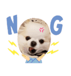 くれああんどゆず（個別スタンプ：12）