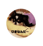 くれああんどゆず（個別スタンプ：14）
