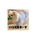 くれああんどゆず（個別スタンプ：21）