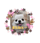 くれああんどゆず（個別スタンプ：23）