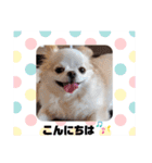 くれああんどゆずパート2（個別スタンプ：2）