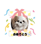 くれああんどゆずパート2（個別スタンプ：11）