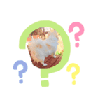 愛しのいちろう（個別スタンプ：5）