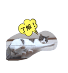 みーちん 使えるスタンプ（個別スタンプ：2）