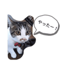 みーちん 使えるスタンプ（個別スタンプ：6）