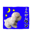 コルク君 LINEスタンプ（個別スタンプ：4）