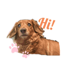 ちょこみる（個別スタンプ：2）