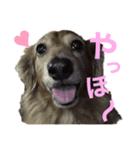 ちょこみる（個別スタンプ：3）