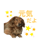 ちょこみる（個別スタンプ：8）