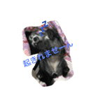 もげくーはうぃ（個別スタンプ：1）