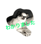 もげくーはうぃ（個別スタンプ：2）