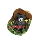 もげくーはうぃ（個別スタンプ：4）