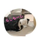 もげくーはうぃ（個別スタンプ：7）
