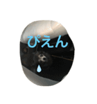 もげくーはうぃ（個別スタンプ：17）