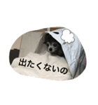 もげくーはうぃ（個別スタンプ：21）
