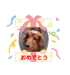 レン＆ジロー（個別スタンプ：12）