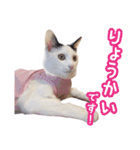 パフすたんぷ（個別スタンプ：1）